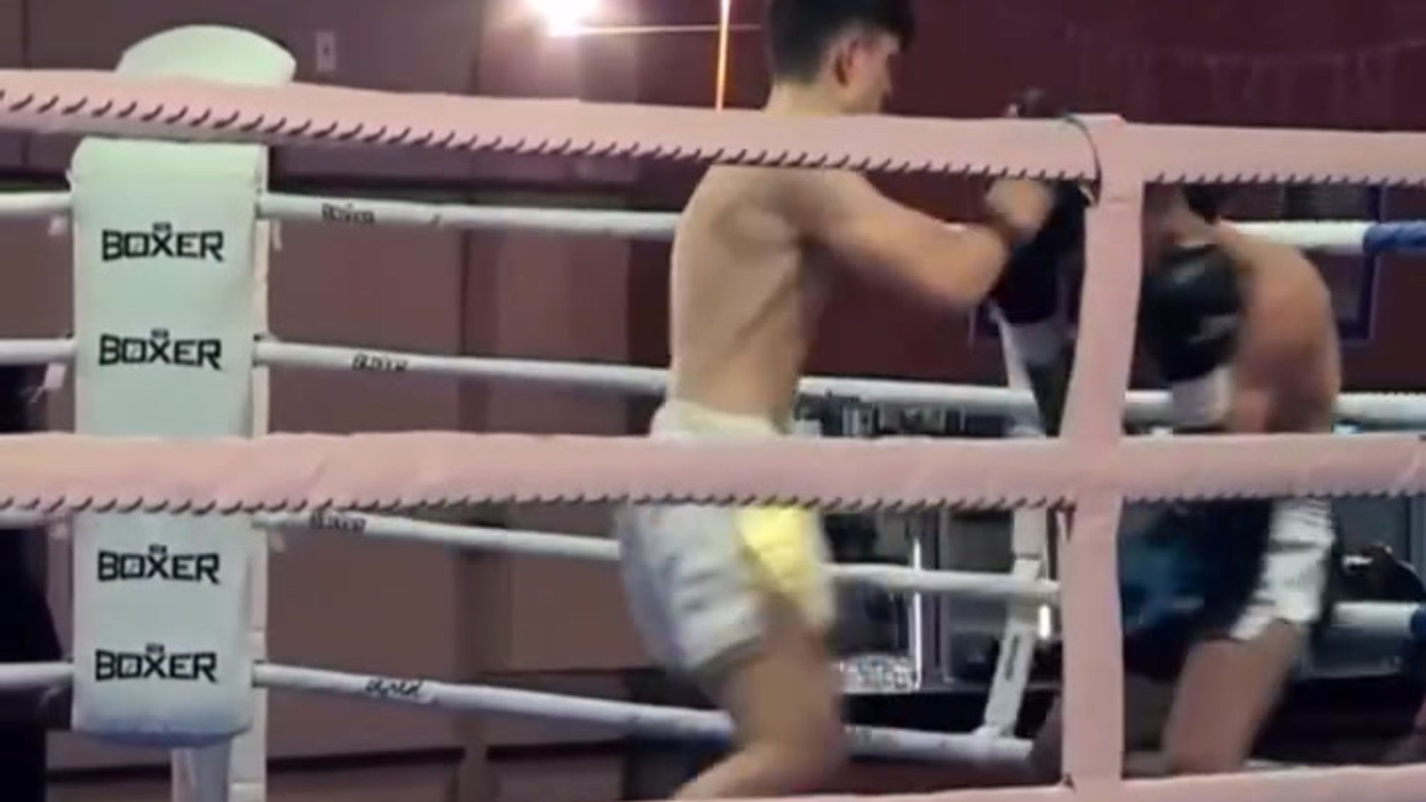 Young killer #kickboxing #muaythai #fight #champion #art #reels